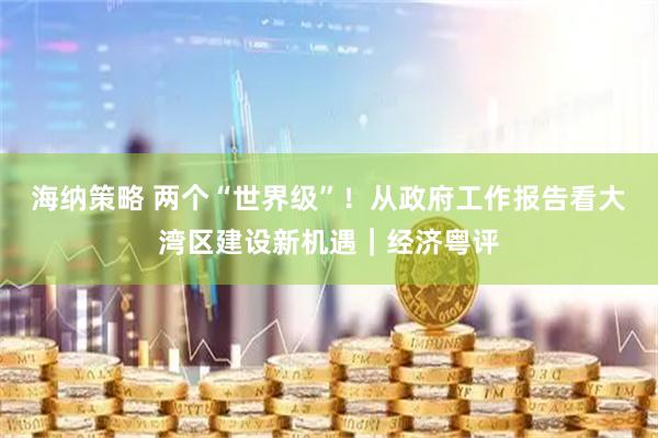海纳策略 两个“世界级”！从政府工作报告看大湾区建设新机遇｜经济粤评