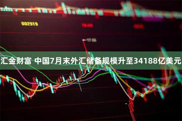 汇金财富 中国7月末外汇储备规模升至34188亿美元